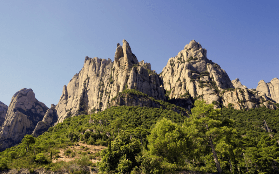 servicios bodega y montserrat